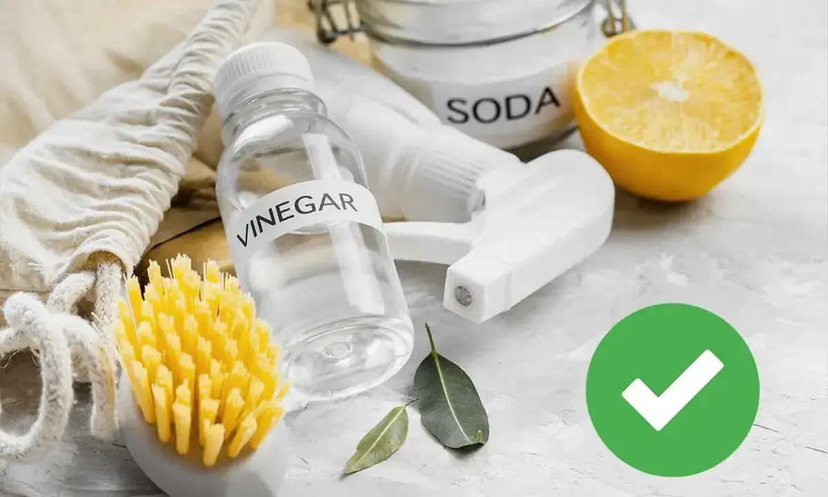 Aceto, bicarbonato e limone: ingredienti naturali per il trattamento delle acque e la pulizia ecologica. Spazzola gialla e foglioline verdi.