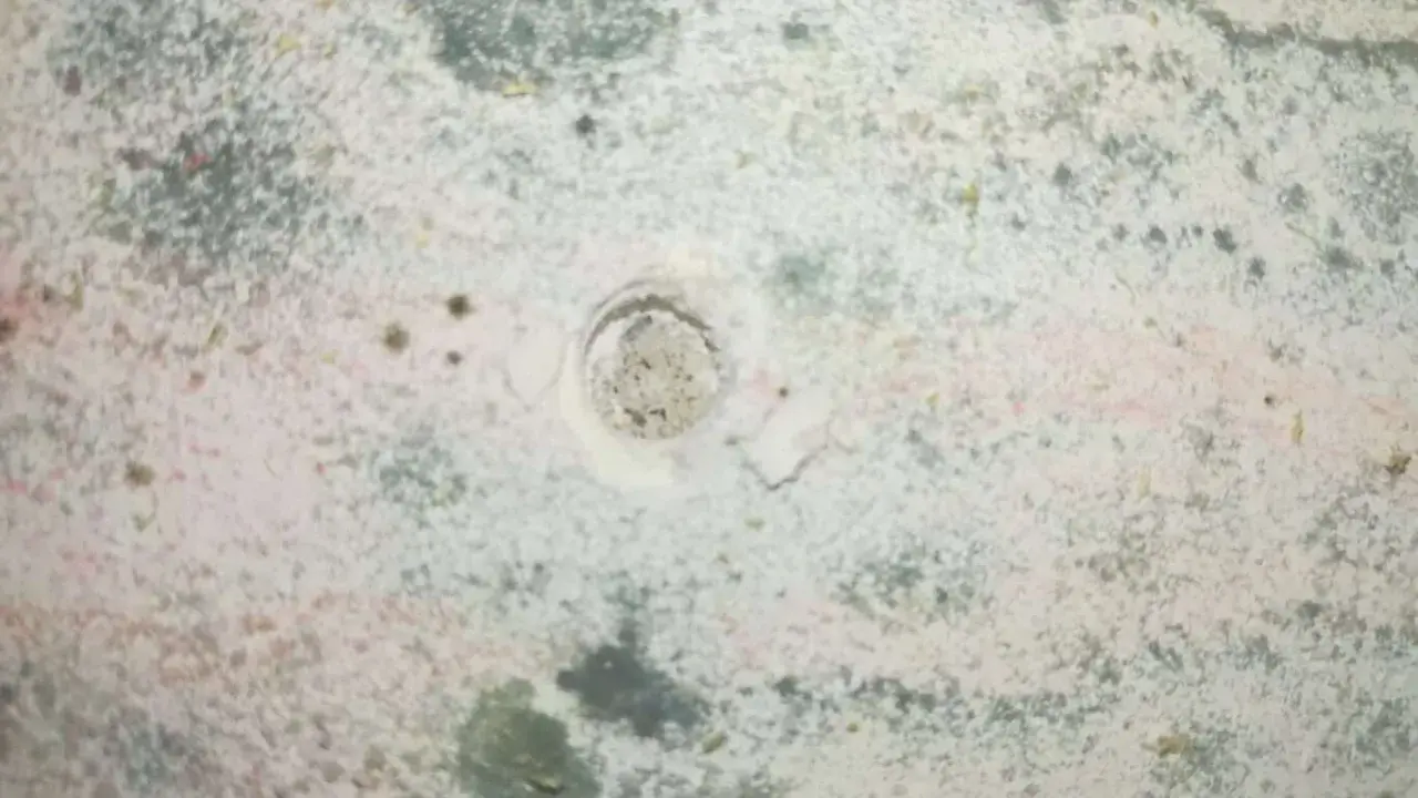 Macchie di muffa verde sui muri, segno di umidità. Un piccolo foro al centro della parete mostra la struttura sottostante.