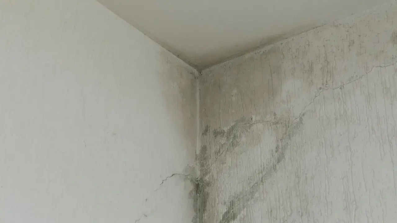Angolo di un muro con evidenti segni di infiltrazione acqua, macchie scure e crepe.