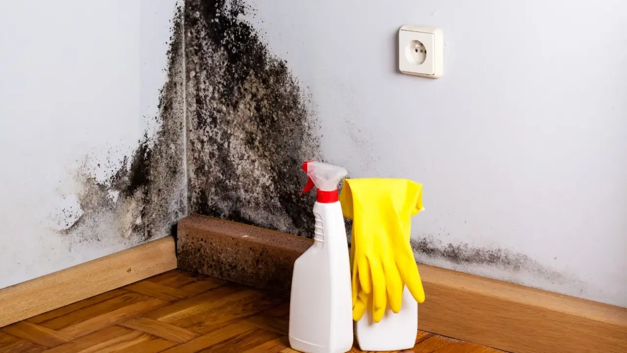 Angolo di una stanza con estesa muffa nera sul muro. Accanto, guanti gialli e flaconi di spray per la pulizia, pronti per combattere il problema.