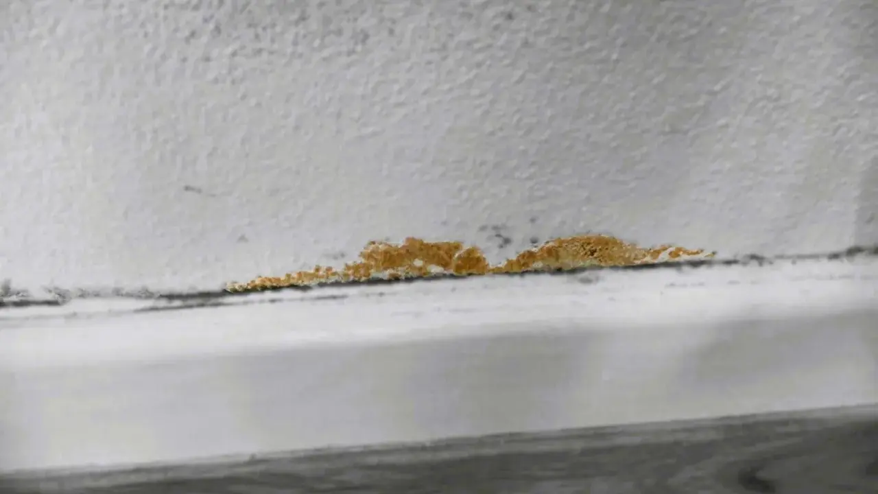 Una macchia di muffa arancione si estende lungo il bordo di un muro bianco, segno di umidità.
