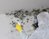 Persona in tuta protettiva e maschera antigas spruzza un prodotto su un muro coperto da muffa grigia e nera.
