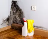 Angolo di una stanza con estesa muffa nera sul muro. Accanto, guanti gialli e flaconi di spray per la pulizia, pronti per combattere il problema.
