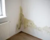 Angolo di una stanza con macchie di muffa giallastra e verdastra sul muro, un segno evidente di come riconoscere le infiltrazioni d'acqua.