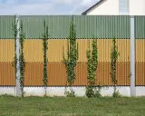 Barriera antirumore fai da te con edera rampicante su pannelli colorati.