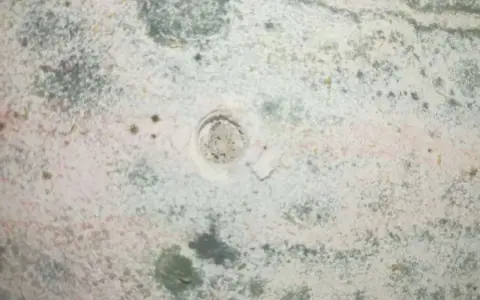 Macchie di muffa verde sui muri, segno di umidità. Un piccolo foro al centro della parete mostra la struttura sottostante.