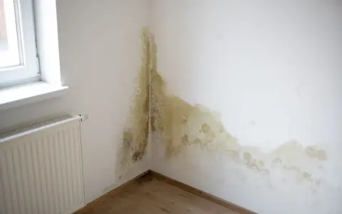 Angolo di una stanza con macchie di muffa giallastra e verdastra sul muro, un segno evidente di come riconoscere le infiltrazioni d'acqua.