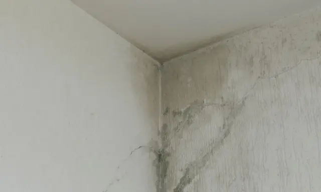Angolo di un muro con evidenti segni di infiltrazione acqua, macchie scure e crepe.