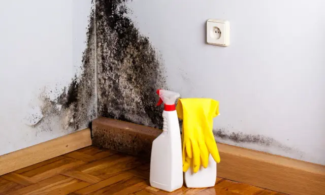 Angolo di una stanza con estesa muffa nera sul muro. Accanto, guanti gialli e flaconi di spray per la pulizia, pronti per combattere il problema.