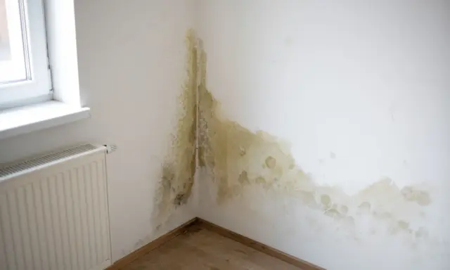 Angolo di una stanza con macchie di muffa giallastra e verdastra sul muro, un segno evidente di come riconoscere le infiltrazioni d'acqua.