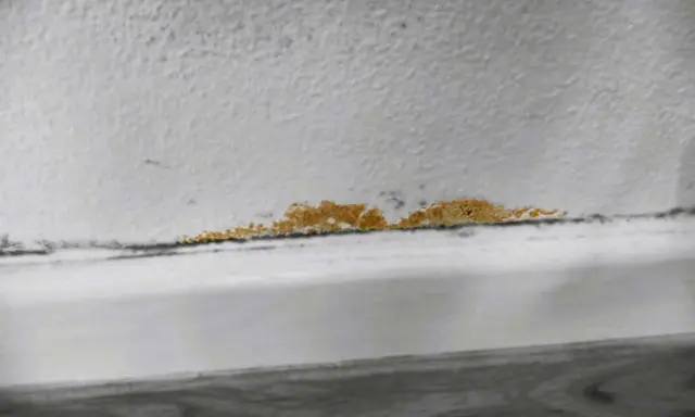 Una macchia di muffa arancione si estende lungo il bordo di un muro bianco, segno di umidità.