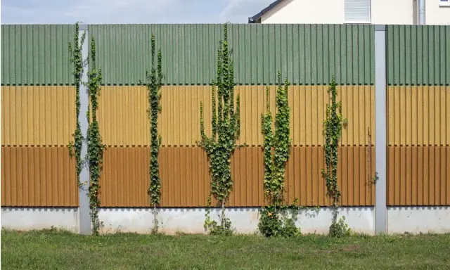 Barriera antirumore fai da te con edera rampicante su pannelli colorati.
