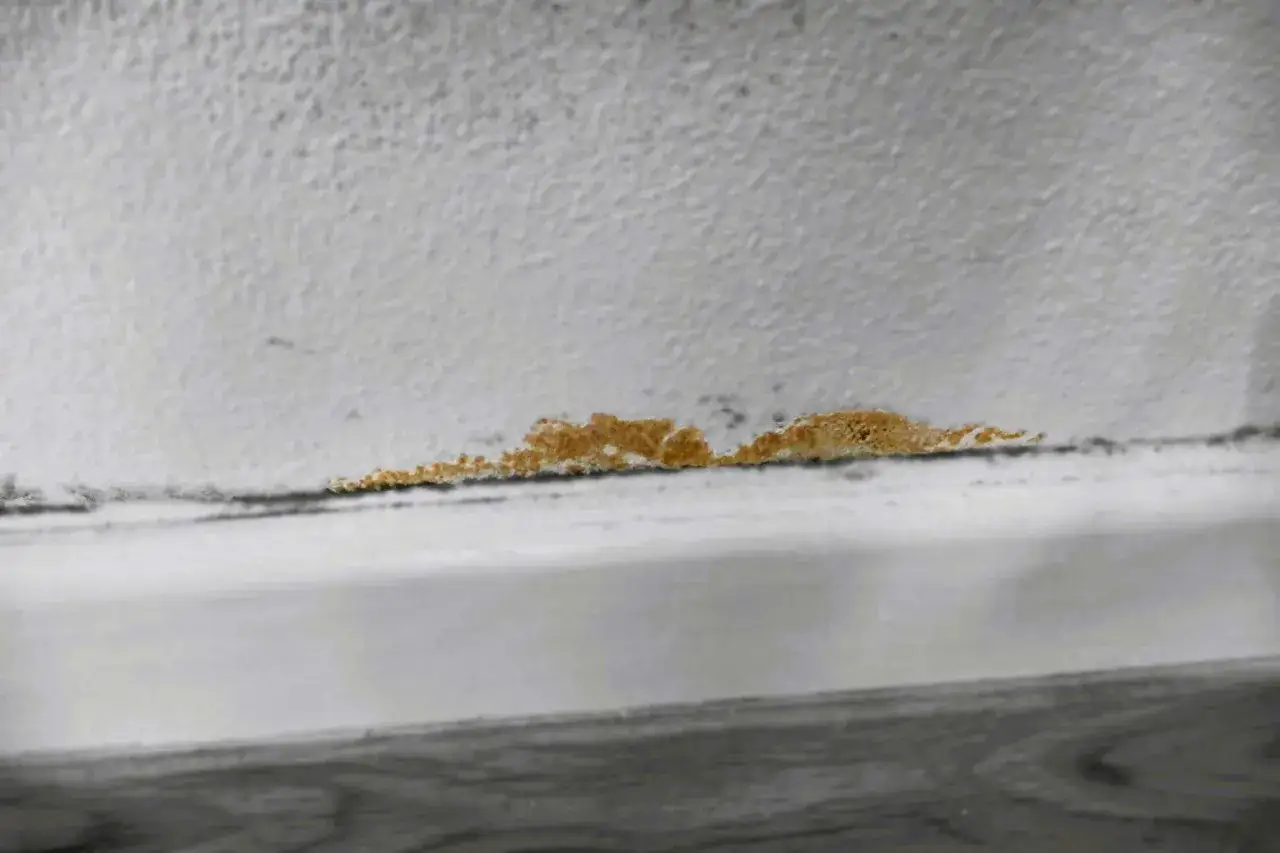 Una macchia di muffa arancione si estende lungo il bordo di un muro bianco, segno di umidit&agrave;.