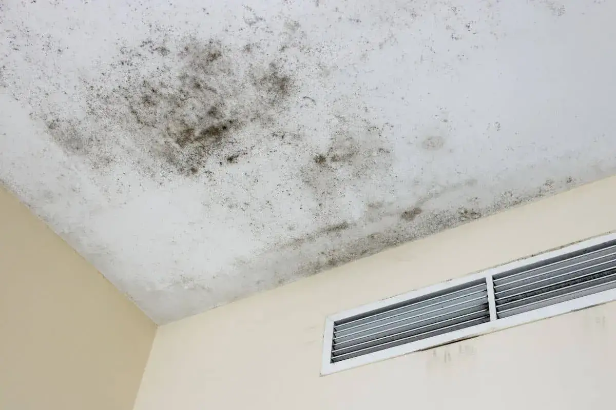Soffitto con macchie di muffa scura, segno di condensa. Scopri trucchi per evitare muffa da condensa e mantenere la tua casa sana.