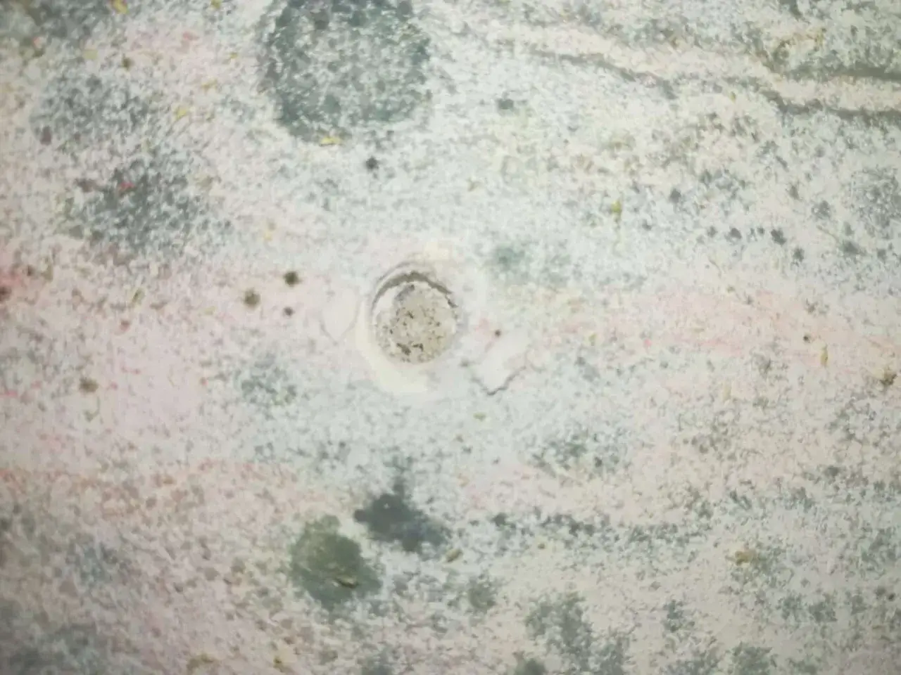 Macchie di muffa verde sui muri, segno di umidità. Un foro centrale rivela la struttura sottostante.