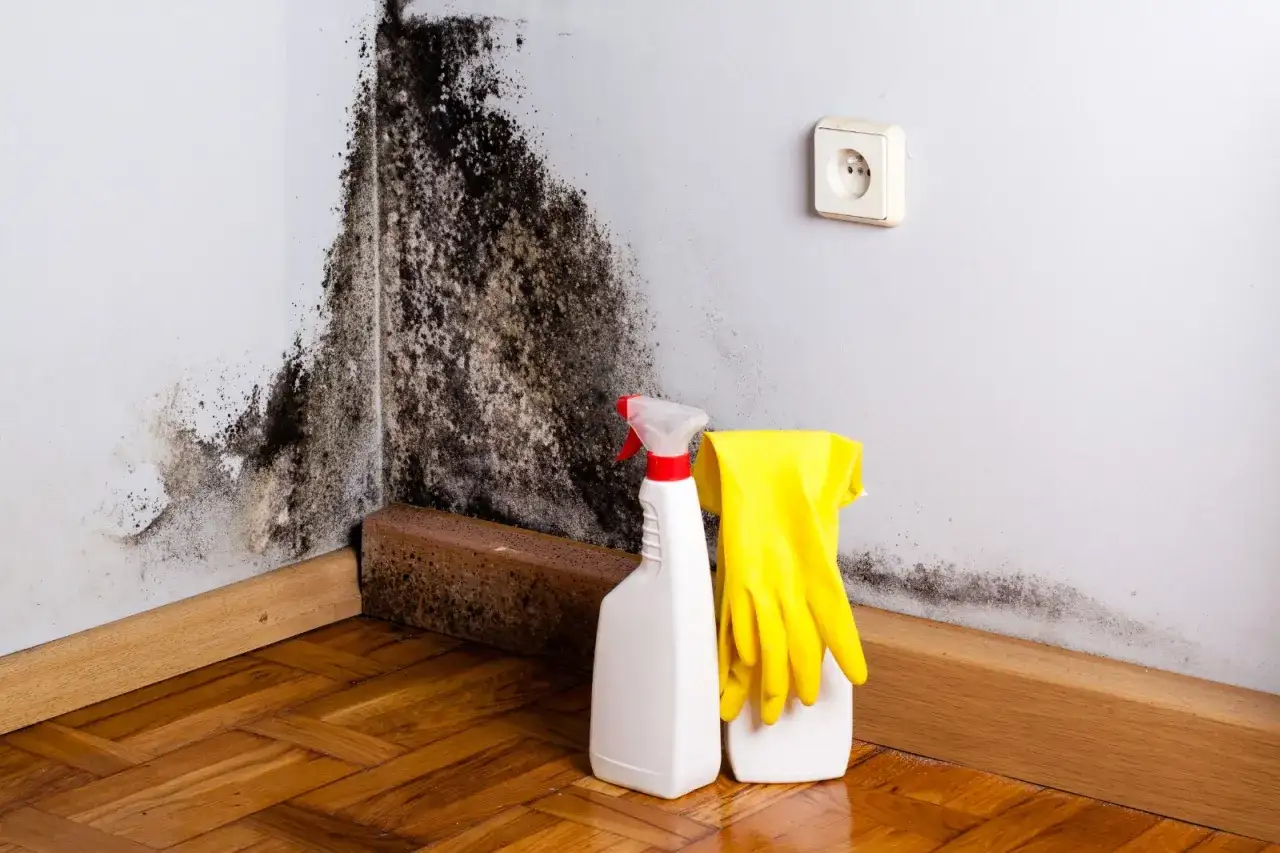 Angolo di muro con estesa muffa nera. Accanto, guanti gialli e spray, pronti per capire come togliere la muffa dai muri.