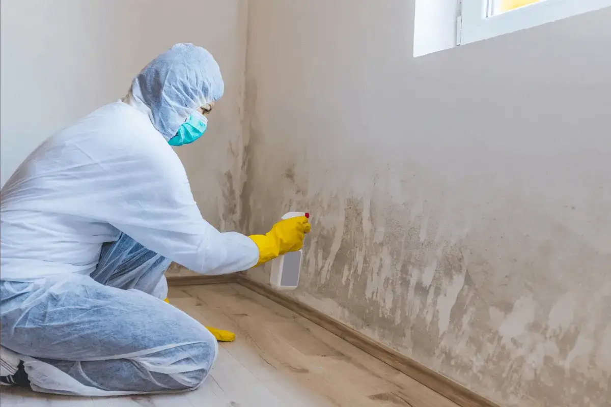 Persona in tuta protettiva e guanti gialli spruzza un prodotto su un muro con estesa muffa in casa.