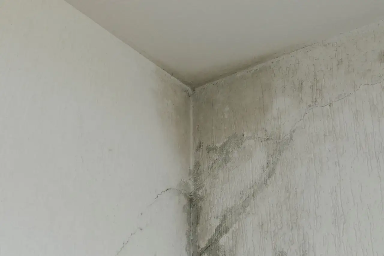 Angolo di un muro con evidenti segni di infiltrazione acqua, macchie scure e crepe.
