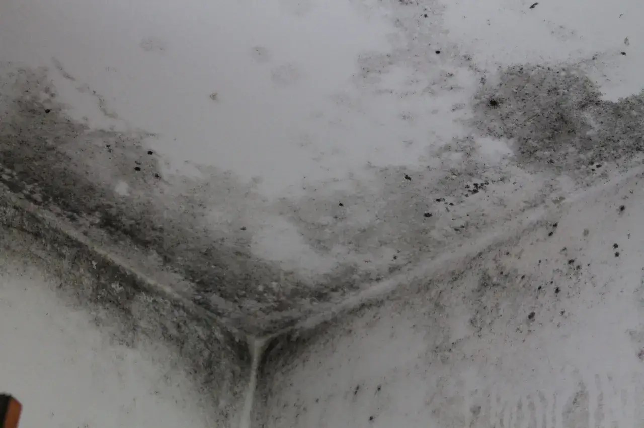 Angolo del soffitto con estesa muffa nera e grigia. La muffa sul soffitto fa male alla salute e indica problemi di umidità.